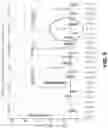 Fig. 11 - Cardiac device system