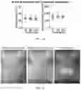Fig. 06 - Non-invasive optogenetic stimulation method to regulate glucose metabolism in the liver and brown adipose tissue