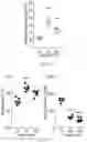 Fig. 07 - Non-invasive optogenetic stimulation method to regulate glucose metabolism in the liver and brown adipose tissue