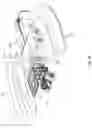 Fig. 23 - Aerial configuration for a mid-mount fire apparatus