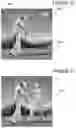 Fig. 25 - Motion capture data fitting system
