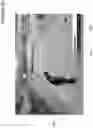 Fig. 30 - Motion capture data fitting system