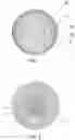 Fig. 02 - Multi-layer golf ball