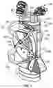 Fig. 02 - Systems and methods for an adjustable strap system for a golf bag