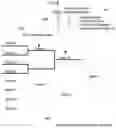 Fig. 10 - Method for structured gaming on an external activity.