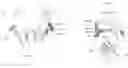 Fig. 01 - Methods for assessing binding affinity of an antibody variant to the neonatal Fc receptor