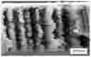 Fig. 01 - Gas separation membrane containing metal-organic frameworks and methods of making thereof
