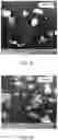 Fig. 08 - Gas separation membrane containing metal-organic frameworks and methods of making thereof