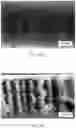 Fig. 17 - Gas separation membrane containing metal-organic frameworks and methods of making thereof