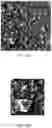 Fig. 25 - Gas separation membrane containing metal-organic frameworks and methods of making thereof