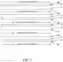 Fig. 03 - Forward osmosis composite membranes for concentration of lithium containing solutions