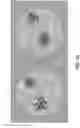 Fig. 04 - Enzymatically active high-flux selectively gas-permeable membranes for enhanced oil recovery and carbon capture
