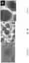 Fig. 05 - POROUS MEMBRANE AND METHOD FOR FILTERING FLUID INCLUDING PARTICLES WITH POROUS MEMBRANE