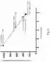 Fig. 10 - POROUS MEMBRANE AND METHOD FOR FILTERING FLUID INCLUDING PARTICLES WITH POROUS MEMBRANE