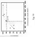 Fig. 12 - POROUS MEMBRANE AND METHOD FOR FILTERING FLUID INCLUDING PARTICLES WITH POROUS MEMBRANE