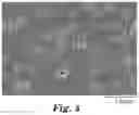 Fig. 05 - Porous membranes including pentablock copolymers and method of making the same