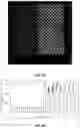 Fig. 06 - HYDROXYALKYLATED POLYACRYLAMIDE SURFACE COATINGS FOR IN SITU SYNTHESIS OF DNA ARRAYS