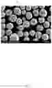 Fig. 10 - Co-precipitation reactor