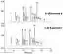 Fig. 01 - Anion exchange stationary phases based on crosslinked hydroxyalkylamine layer and glycidol