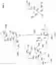 Fig. 08 - Anion exchange stationary phases based on crosslinked hydroxyalkylamine layer and glycidol