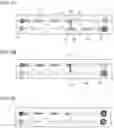 Fig. 07 - Sample Processing Device