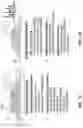 Fig. 02 - Device and method for high-throughput multiparameter measurements in one or more live and fixed cells