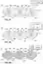 Fig. 04 - Device and method for high-throughput multiparameter measurements in one or more live and fixed cells