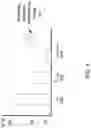 Fig. 05 - Integrated solid-state rapid thermo-cycling system