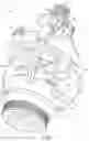 Fig. 04 - Serviceable sprinkler with nutating distribution plate and wear ring