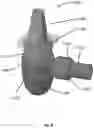 Fig. 09 - Device for the extraction of machining dust