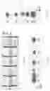 Fig. 20 - Immiscible-interface assisted direct metal drawing