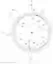 Fig. 01 - Tool for cutting teeth or for dressing of a fine machining tool having a set of external teeth