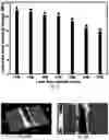 Fig. 06 - Additive manufacturing processes and additively manufactured products