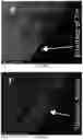 Fig. 10 - Additive manufacturing processes and additively manufactured products