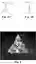 Fig. 04 - Shaped vitrified abrasive agglomerate with shaped abrasive particles, abrasive articles, and related methods