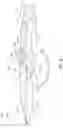 Fig. 08 - Switchblades