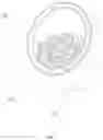 Fig. 08 - Food cutting device