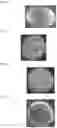 Fig. 03 - Molding material of saponified ethylene-vinyl ester-based copolymer