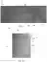 Fig. 09 - Extruded board with realistic appearance