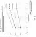 Fig. 07 - Multiple screw extruder implemented with vacuum vent and screws configured to densify, or extract fluid from, material processed by the extruder