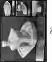 Fig. 13 - High temperature 3D printing via inverted heated build chamber