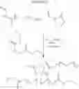 Fig. 18 - Ophthalmic devices
