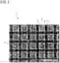 Fig. 02 - Coating base material