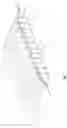 Fig. 02 - Multi-layer woven fabric article