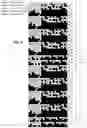 Fig. 04 - Multi-layer woven fabric article