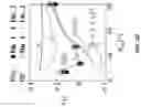 Fig. 10 - Wavy network structures dispersed in a hard phase