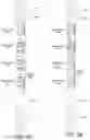 Fig. 03 - Microfluidic assay assemblies and methods of manufacture