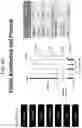 Fig. 86 - Microfluidic assay assemblies and methods of manufacture