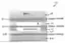 Fig. 01 - Metal objects spanning internal cavities in structures fabricated by additive manufacturing