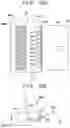 Fig. 13 - PRINTING APPARATUS, AND PRINTING METHOD